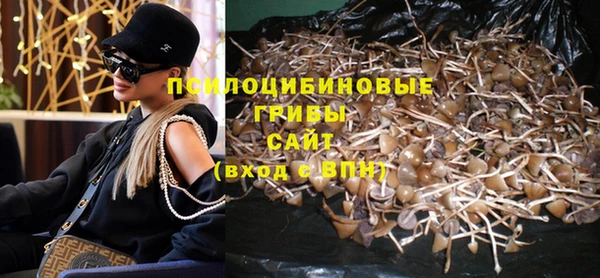 ALPHA-PVP Няндома