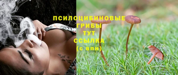 ГАЛЛЮЦИНОГЕННЫЕ ГРИБЫ Осташков